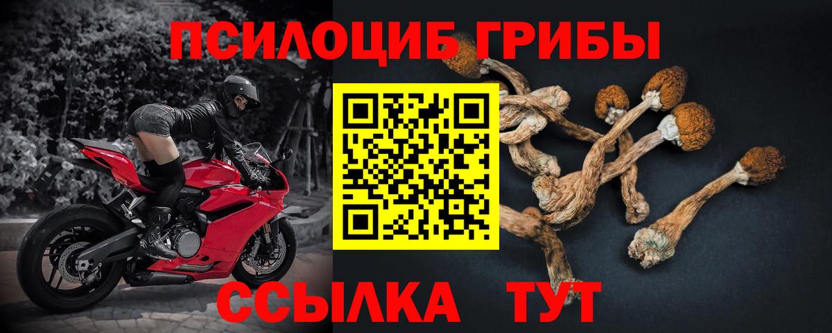 Галлюциногенные грибы Psilocybine cubensis  Вход с VPN  Галлюциногенные грибы GOLDEN TEACHER  Сланцы 